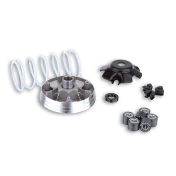 Variateurkit Malossi Multivar 2000 Piaggio 50cc 2-takt Zip/Primavera/Sprint/LX/LXV/S/ET2/Mojito/Scarabeo/Sportcity One/SR/Atlantis/GP1/DNA/Ice/Runner/Storm/Stalker/Typhoon/Fly NRG/NTT/Liberty 519019