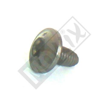 PEU SCHROEF M6x1.00-12
