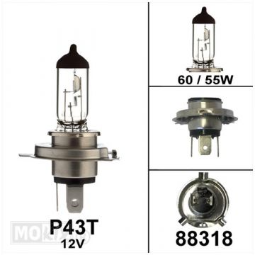 Lamp P43T H4 12V 60/55W