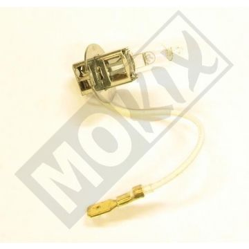 Lamp PK22S H3 12V 55W