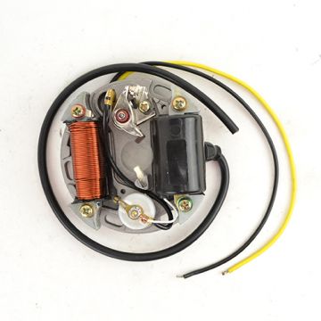 Ontsteking Puch Maxi 6v 15w kaal