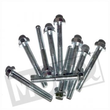 Flens carter bouten M6x50mm lengte (SW8) blank 10 stuks