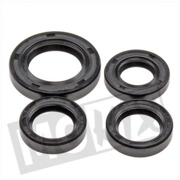 Keerringset Peugeot horz Ludix/SPF3 SP (4 stuks)