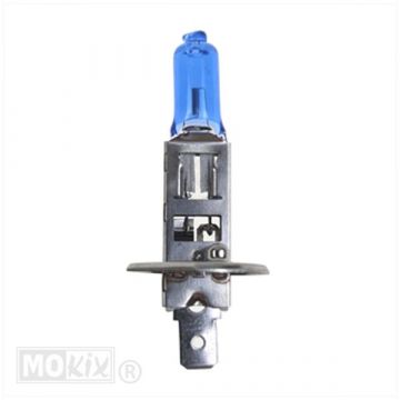 Lamp 12V P14.5S 55W H1 CE-keur Bollard