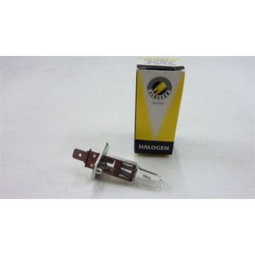 Lamp P14.5s H1 12V 55W-99752