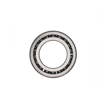 Balhoofdlager Rieju RR/SPIKE/RS1