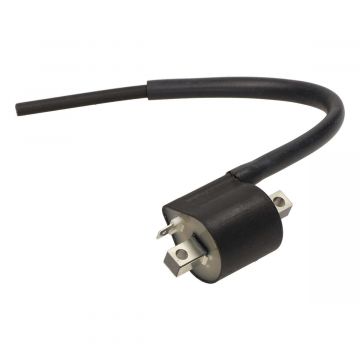 Bobine incl kabel Sym origineel
