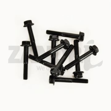 Flens-frame bouten (SW10) M6x40mm lengte zwart 10 stuks