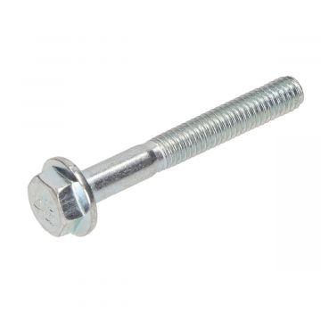 FLENS/ FRAME/ BOUTEN SW10 M6x45mm lengte BLANK 10stuks