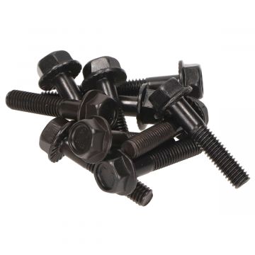 Flensbout/carterbout set M6x30mm lengte (SW10) zwart 10 stuks