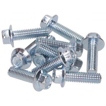 Flens carter bouten M6x20mm lengte (SW8) blank 10 stuks