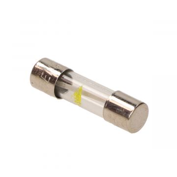 Glas Sicherung 20A 26mm