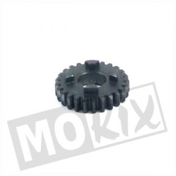 TANDWIEL 6 VERSN/PRIMAIR Z=25