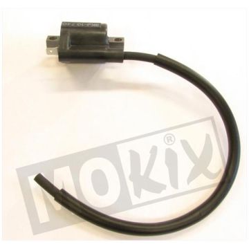BOBINE POWER UP RIEJU