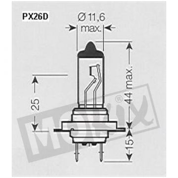 Lamp PX26d H7 55W