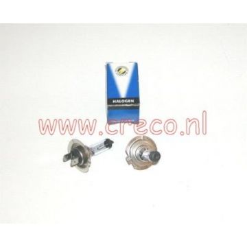 Lamp H7 PX26d 12V 55W Xenon Look
