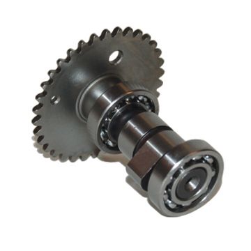 Nokkenas GY6 Agility Super8