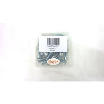Inbusbout m6x20mm 25 stuks-56IB620