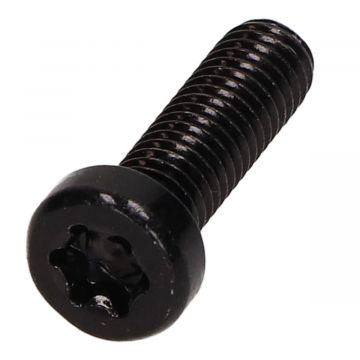 Inbusbout TX30 M6x1.00-20 Promo origineel