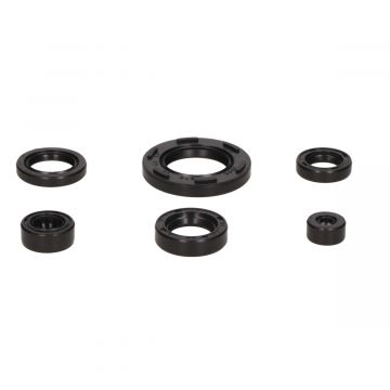 Keerringset motorblok Suzuki TSX 50cc/ER 50cc 6delig DMP