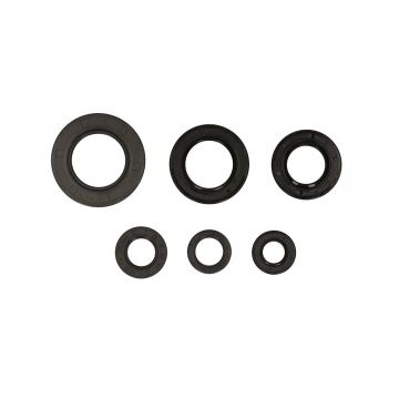 Keerringset Yamaha FS1 roterende schijf BAC