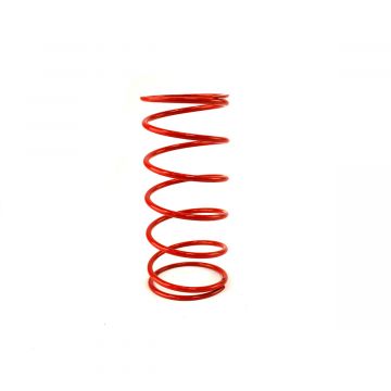 Koppelingsdrukveer Malossi Racing Piaggio 50 (type Sfera 1/Zip oud type ←2000) rood (plus 35 procent)297087.R0