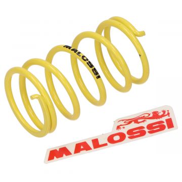 Kupplungsfeder Vespa Bravo Vespa Ciao gril px Vespa Si gelb Malossi 297009.y0
