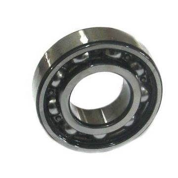 LAGER SKF       6004