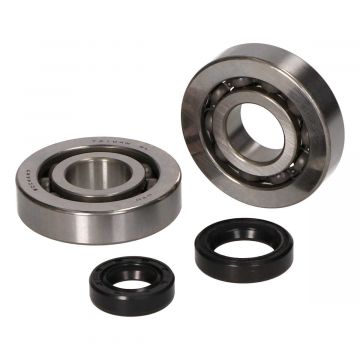 Lager-/Dichtungssatz Peugeot stehend E1 NTN Speedfight 1-2/TKR/Buxy/Speedake/Looxor/Elyseo/Elystar/Vivacity 1-2/Trekker/Zenith/SV/SC