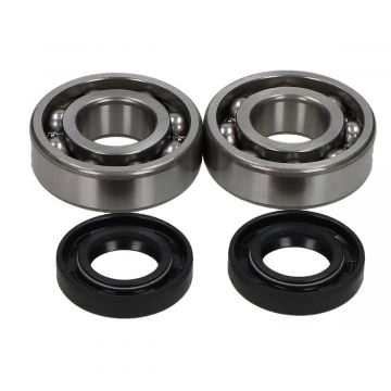 Lager/keerring set Derbi Senda-R NTN 4 delig