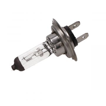 Lamp PX26d H7 12V 55W-88320