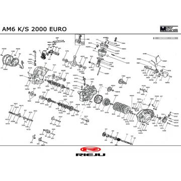 Motorblok in delen Rieju RR Sport zwart 2004 2-takt