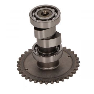 Nokkenas Agility Euro 3