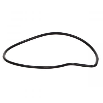 O-ring waterpomp Beverly 125cc Beverly 250cc Beverly 300cc Piaggio MP3 250cc Piaggio MP3 300cc Piaggio origineel 485080