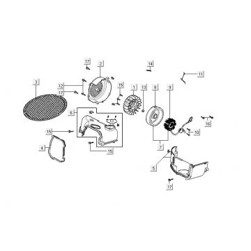 Ontsteking - Stator - Vliegwiel Kymco Carry 50i 4-takt Euro 4 wit