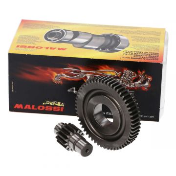 Overbrengingset sec. euro-4 LibertyVespa  Primavera Sprint 15 55t Malossi 6711135