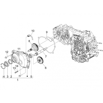 Vertanding - Overbrenging Piaggio MP3 300 LT Sport 2009-2014