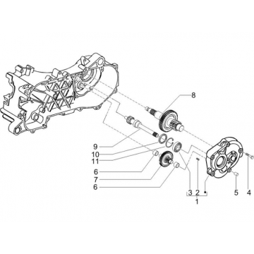 Vertanding - Overbrenging Piaggio Zip 50 SP 2-takt LC 2006-2013