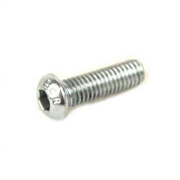 Remschijfinbusbout (bolkop) M6x20mm RVS