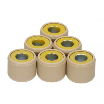 Rollenset Agi 125 14gram 14x18 Kymco origineel