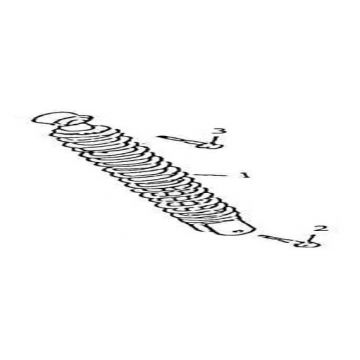 Schokbreker AGM GT zwart