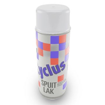 Spuitbus China/Retro Kymco VP50 techno zilver CN604MA 400ml Cyclus