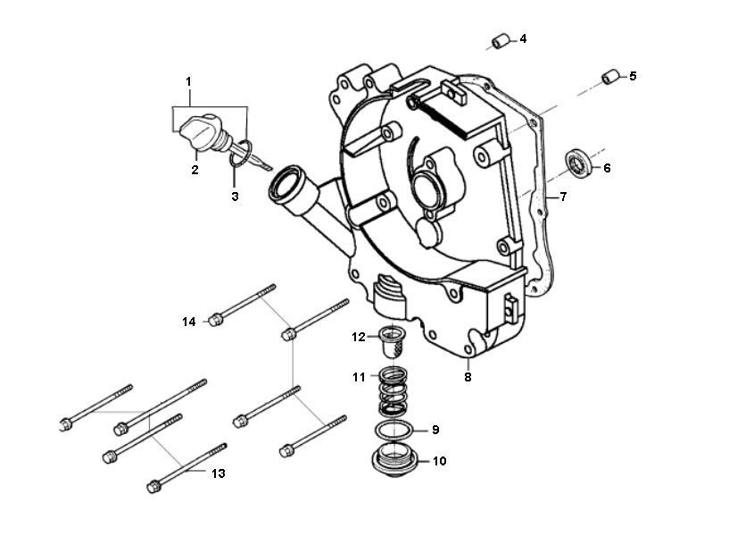Carter - Peilstok - Oliefilter Rover Classic 4-takt