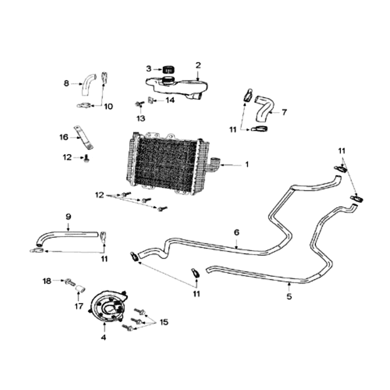 Radiateur - Koeling - Waterpomp Peugeot Speedfight 3 50 2-takt LC wit
