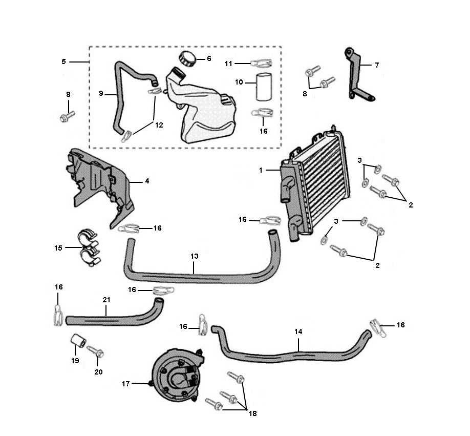 Radiateur - Koeling - Waterpomp Peugeot Jet force C-tech 2-takt