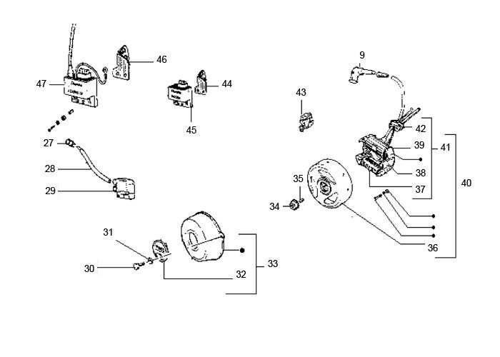 Ontsteking - Stator - Vliegwiel Puch Maxi