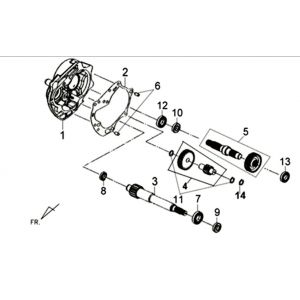 Vertanding - Overbrenging Sym XPRO 50 4-takt AC Euro 4