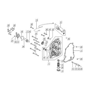 Carter - Peilstok - Oliefilter Kymco Downtown 125i