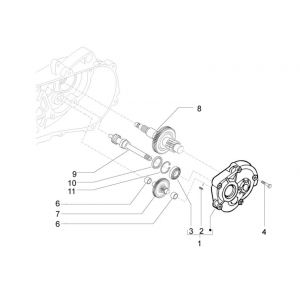 Vertanding - Overbrenging Vespa S 50 4-takt 2V 25km/u