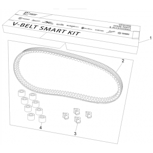 Kit v-snaar - Variateurrollen Piaggio MP3 350 Maxi Sport ABS Euro 4 2018-2020